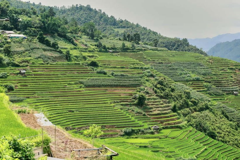 1-Day Sapa Long Trek - Rice Field Terrace, Ethnic Culture - The final walk to Ta Van
