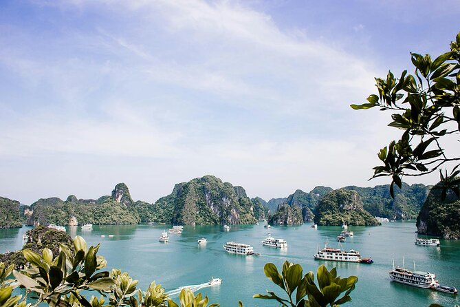 12 Days Vietnam Tour Package - Day 8: Cam Thanh and Hoi An’s old streets