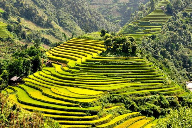 15-Day Majestic Vietnam FULL Package - 68% OFF + Bonuses - Day 14: A useful free day in Ho Chi Minh City