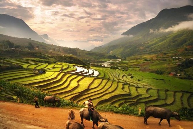 15-Day Majestic Vietnam FULL Package - 68% OFF + Bonuses - What the $1,550 price really covers
