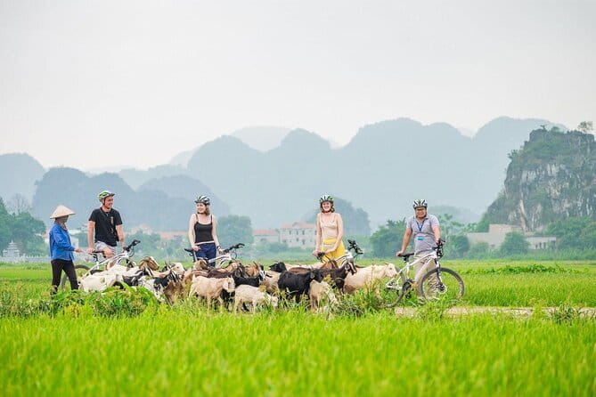 17-Day Vietnam Tour | Explore the Best Highlights of Vietnam - Pu Luong trades city streets for rice terraces