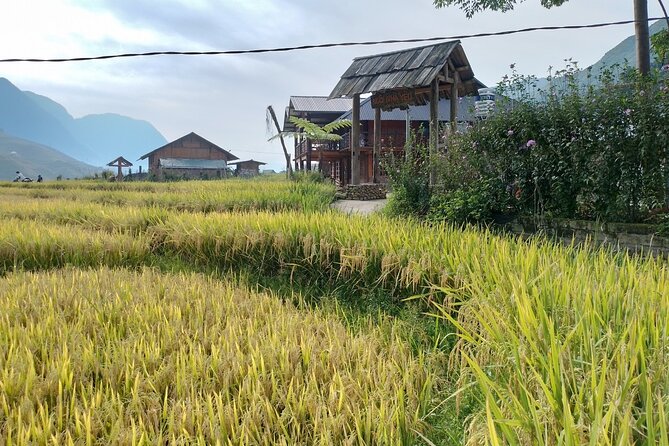 2-Day Sapa Guided Tour Slipping in Homestay From Hanoi - Why this Sapa tour works well in two days