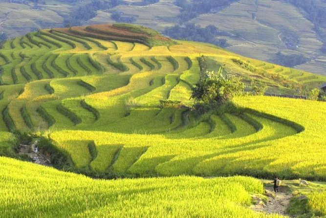 3-Night Sapa Trek and Homestay with Round Trip Transfer from Hanoi - Why the Muong Hoa Valley trek is the main event