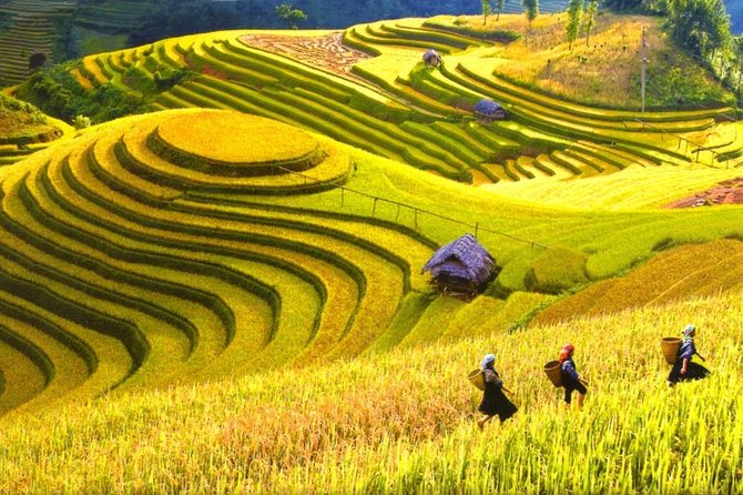 3-Night Sapa Trek and Homestay with Round Trip Transfer from Hanoi - Day two: breakfast, bamboo forest, and Giang Ta Chai