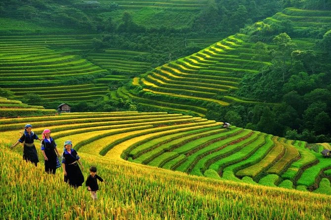 3-Night Sapa Trek and Homestay with Round Trip Transfer from Hanoi - Day one: Hanoi to Lao Cai by overnight train
