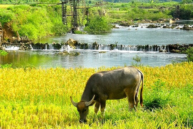 5, 6, 7 day Vietnam Itinerary | Charming | 2026 Northern Packages - Hanoi’s Temples, Museums, and Wartime Sites