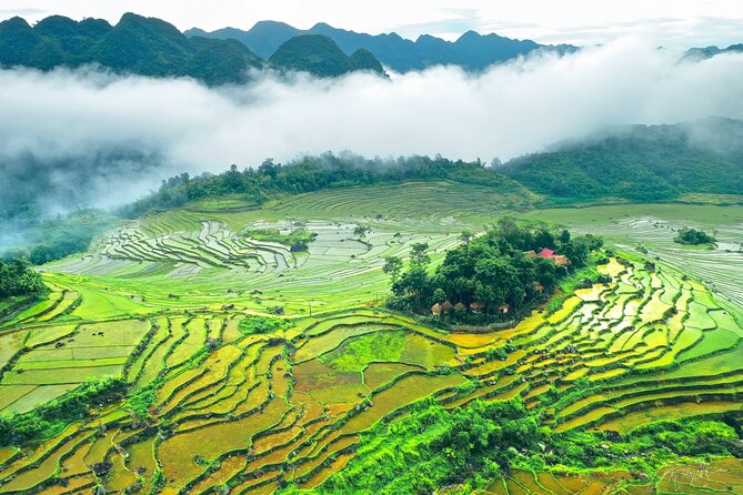 5, 6, 7 day Vietnam Itinerary | Charming | 2026 Northern Packages - Trang An by Boat and Bicycle