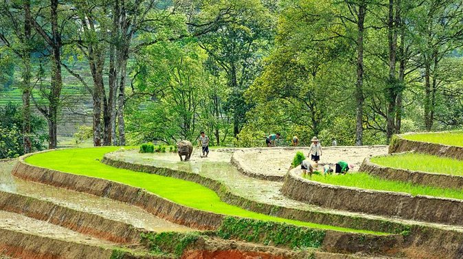 5-Day North Vietnam: Hanoi -Halong Bay -Ninh Binh-Sapa from Hanoi - Day 1: Tam Coc and the limestone country of Ninh Binh