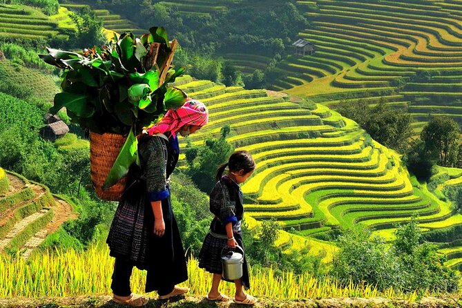 7 Days Vietnam Travel (Hanoi- Ninh Binh - Sapa - Ha Long) - Day 7: Airport transfer and departure