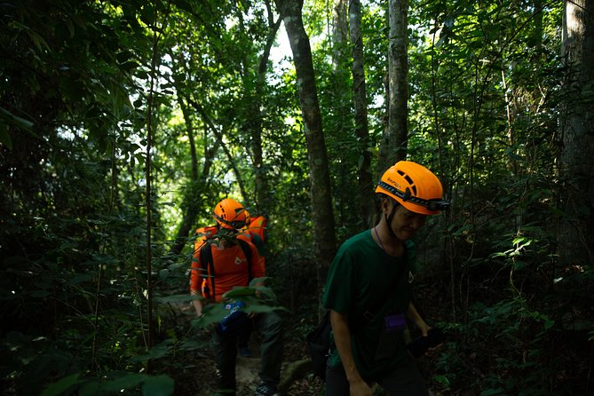 Abandoned Valley Adventure - E Cave & Golden Cave - 1D - The 2-kilometer trek through the forest