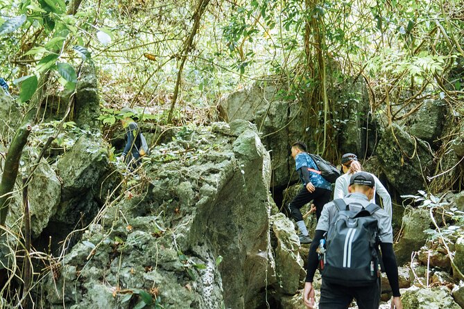 Abandoned Valley Adventure - E Cave & Golden Cave - 1D - Golden Cave and its unusual formations