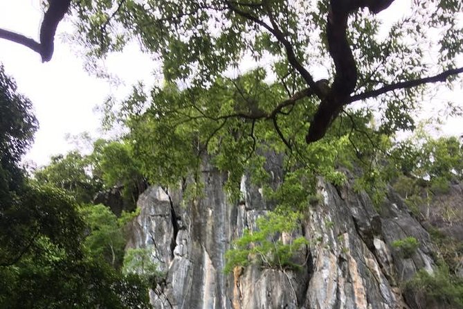 Abandoned Valley - Dark Cave exit, E Cave, Golden Cave- 2D1N - Morning one, from Phong Nha to the Abandoned Valley