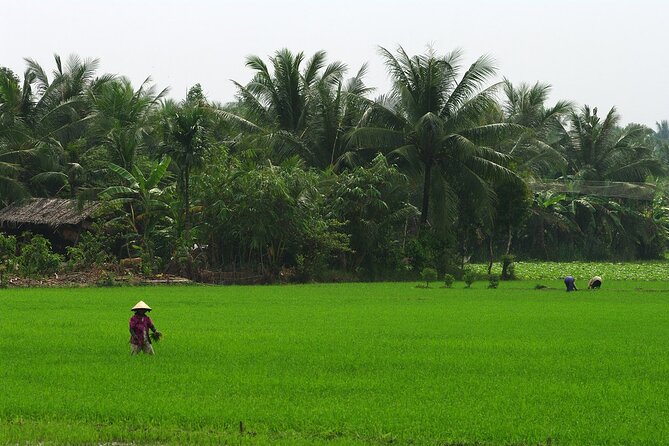 Adventure Cu Chi Tunnels and Mekong Delta Tour From HCM - Lunch before the Mekong River