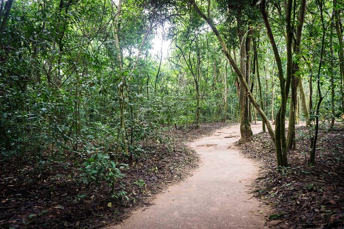 Afternoon Cu Chi Tunnels - Small Group Half-Day Tour - Leaving Ho Chi Minh City at 1:00 p.m.