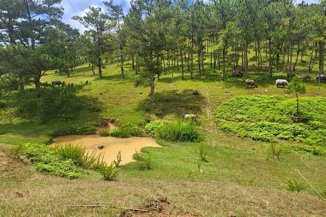 ATV Tour In The Dalat Mountains - Starting at Full Moon Farms