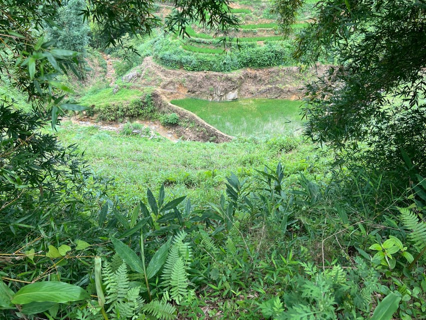 AUTHENIC 2D1N Trek & Bungalow Retreat with Dinh Hmong Family - Cooking, dinner, and an evening with the family