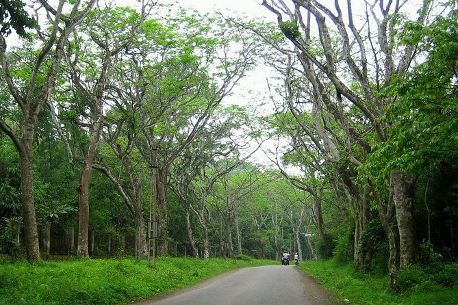 Ba Vi National Park Private Tour: Sightseeings & Jungle Hikking - Thuong Temple and the long stair climb