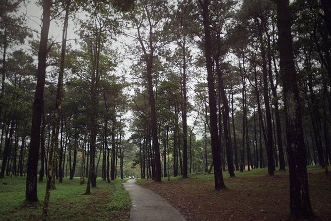Ba Vi National Park Private Tour: Sightseeings & Jungle Hikking - What the $75 price really covers