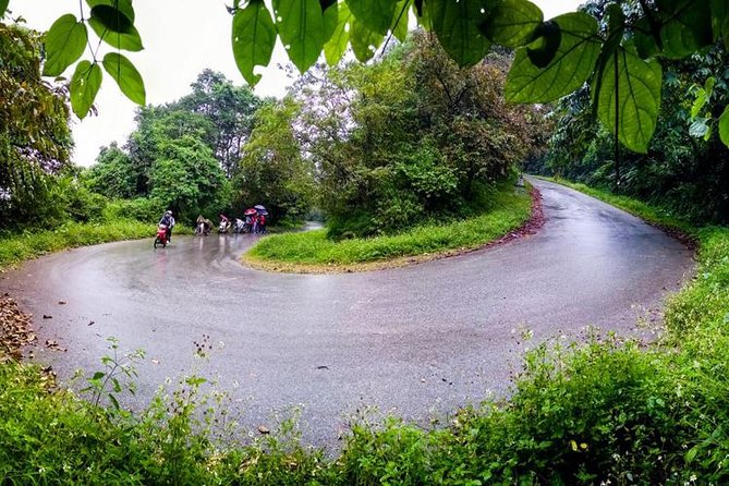 Ba Vi National Park Private Tour: Sightseeings & Jungle Hikking - The private format helps, but guide quality matters