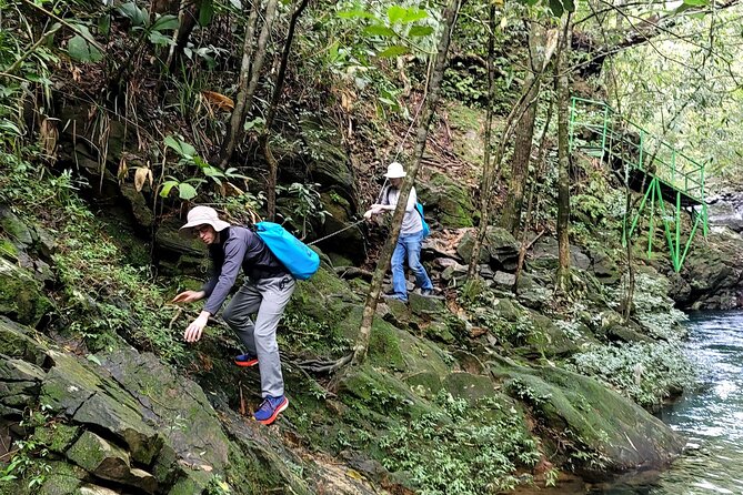 Bach Ma National Park trekking daily tour from Da Nang, Hoi An - The route to 300-meter Do Quyen Waterfall