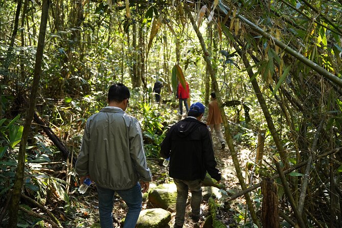 Bach Ma National Park trekking daily tour from Da Nang, Hoi An - What the $69 price covers