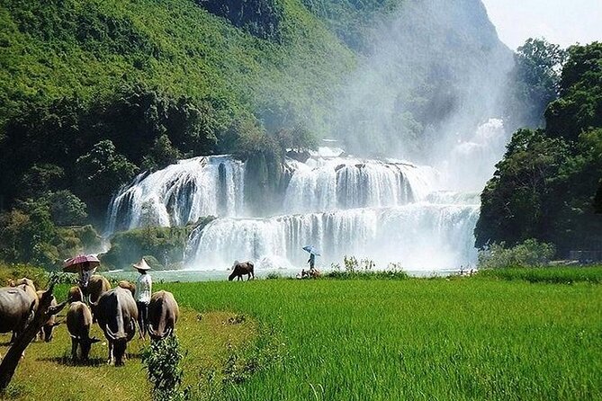 Ban Gioc Waterfall 2 Days 1 Night From Hanoi - Day two: Ban Gioc Pagoda and the best view of the falls