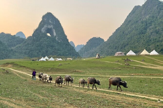 Ban Gioc Waterfall & Mt Angel Eye Full Day Trip with Easy Rider - Who should book this tour