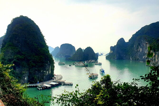 Best seller Halong bay 6 hours cruise - Hang Luon by kayak or bamboo sampan