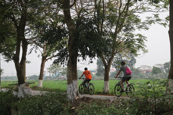Bicycle Tour Full Day Explore Red River Delta & Rural Villages - Riding beside rice paddies and vegetable farms