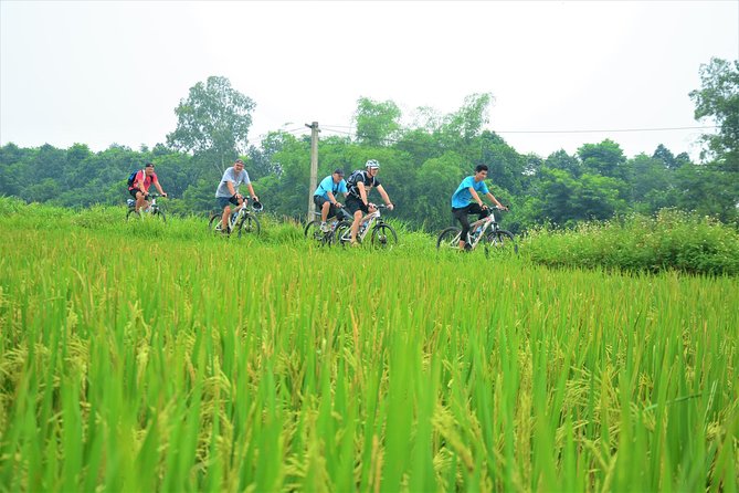 Bicycle Tours Hanoi: Full Day Bicycle Tour Hanoi Countryside - Five hours along the Dong Anh countryside