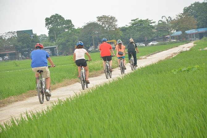Bicycle Tours Hanoi: Full Day Bicycle Tour Hanoi Countryside - Meeting a bonsai-making family in Lai Da