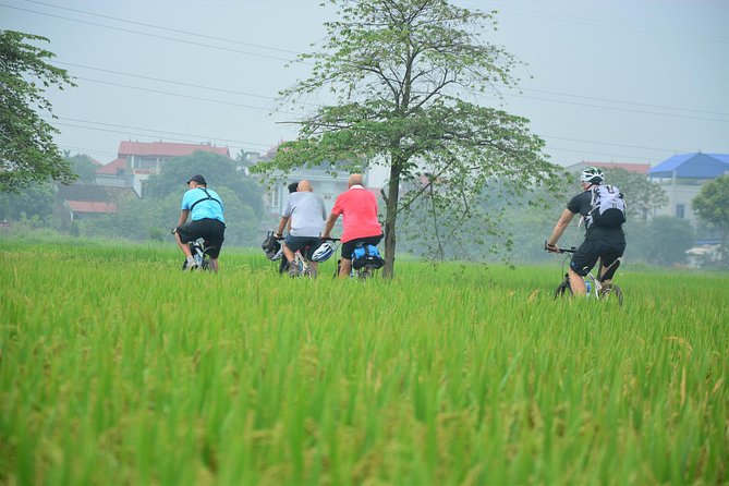 Bicycle Tours Hanoi: Full Day Bicycle Tour Hanoi Countryside - Co Loa Citadel, tropical fruit, and sugarcane juice