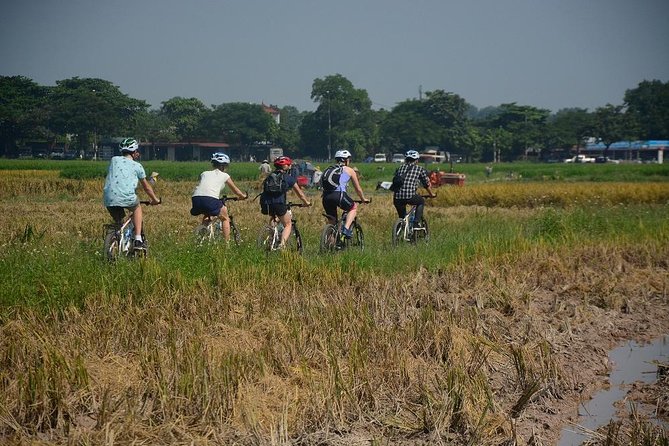 Bicycle Tours Hanoi: Full Day Bicycle Tours City & Countryside - Bonsai in Lai Da