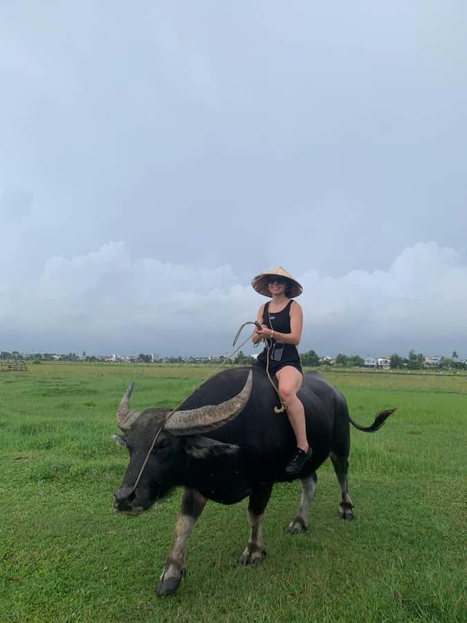 BUFFALO RIDING -BASKET BOAT & BIKE TOUR-HOI AN - How the $29 price holds up