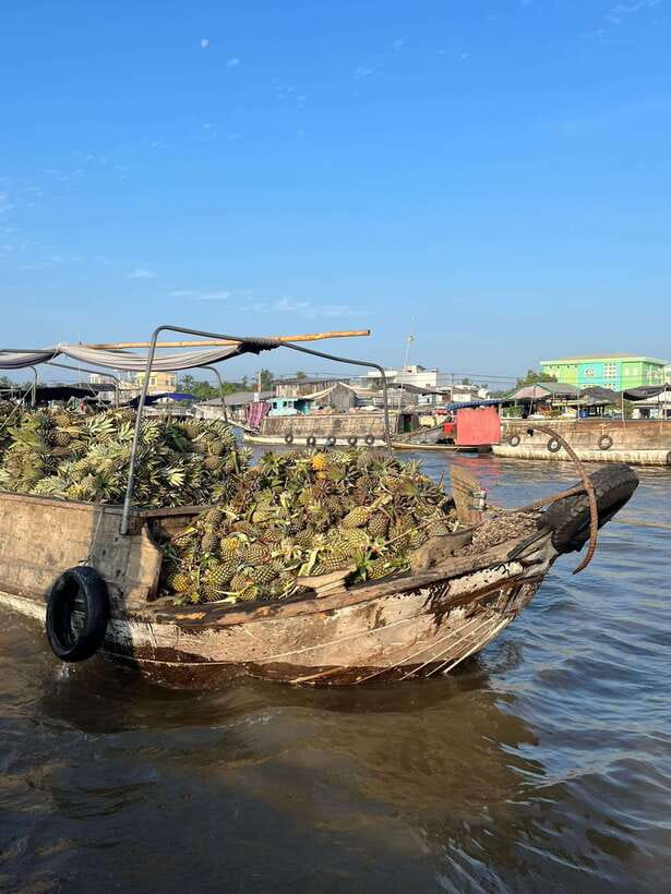 Can Tho: Cai Rang Floating Market and Canals - Sunrise on the Can Tho River