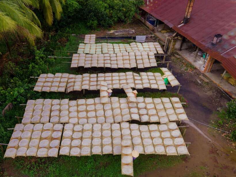 Can Tho: Explore Mekong, Floating Market, Cacao & Local Life - Village paths and tropical fruit gardens
