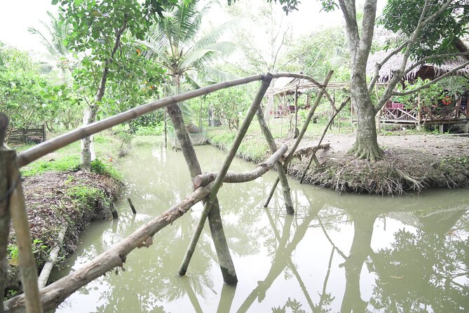 Can Tho Floating Market and Fruit Garden Tour - What the praise tells you about the guides