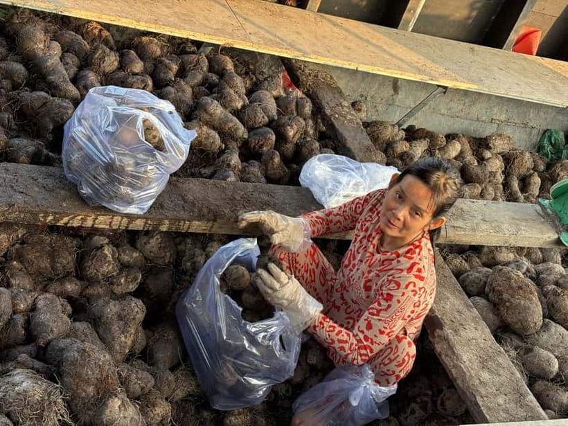 Can Tho: Floating Market, Cacao & Canals with French Guide - Group size and guide quality