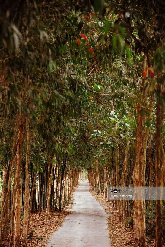 Can Tho: Lung Ngoc Hoang Nature Reserve & Forest Tour - The drive from Can Tho and the small-group setup