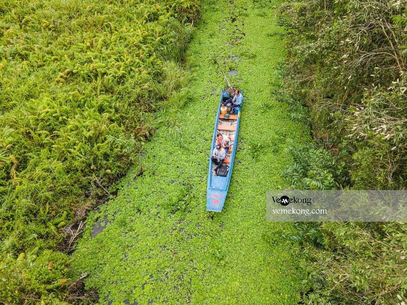 Can Tho: Lung Ngoc Hoang Nature Reserve & Forest Tour - A gentle nature walk on pancake paths