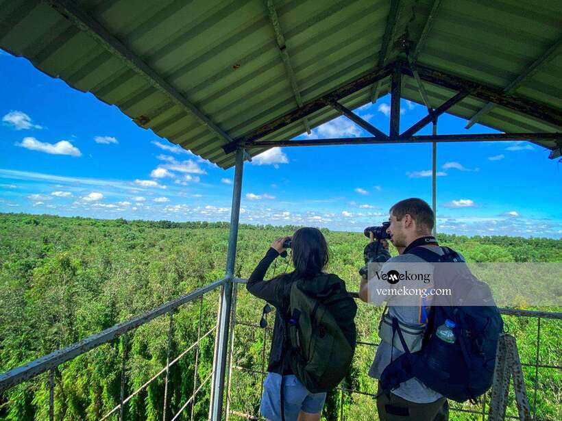 Can Tho: Lung Ngoc Hoang Nature Reserve & Forest Tour - Cruising the wetland by boat