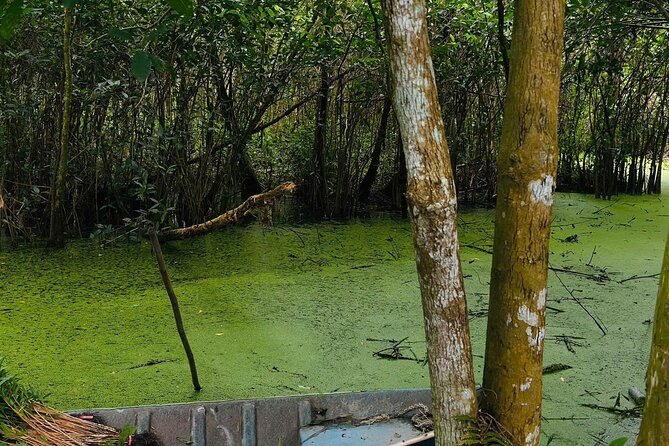 Can Tho: Lung Ngoc Hoang Nature Reserve & Hidden Forests - The 1.4-kilometer forest walk