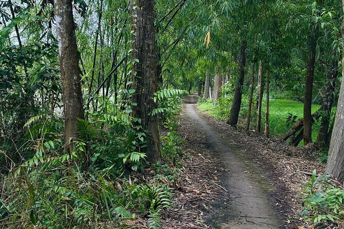 Can Tho: Lung Ngoc Hoang Nature Reserve & Hidden Forests - What the guides add to the outing