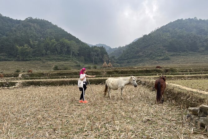 Cao Bang Easy Trekking Tours 2Days/1Night Ban Gioc Waterfall ET1 - Why Cao Bang makes a strong two-day escape