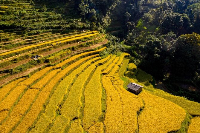Cao Bang Loop Tour 3D2N by Motorbike, Car or Jeep - Day 2: Ma Phuc Pass, village craft, and mountain views