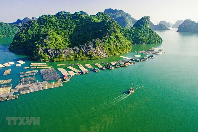 Cat Ba Cruise 2 Days 1 Night - Sunset, cooking, and the case for doing less