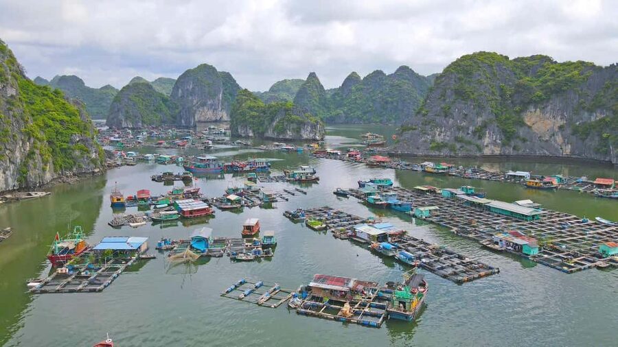 Cat Ba/Ha Noi: Lan Ha and Monkey Island Full Day Boat Trip - Kayaking at Bright and Dark Cave
