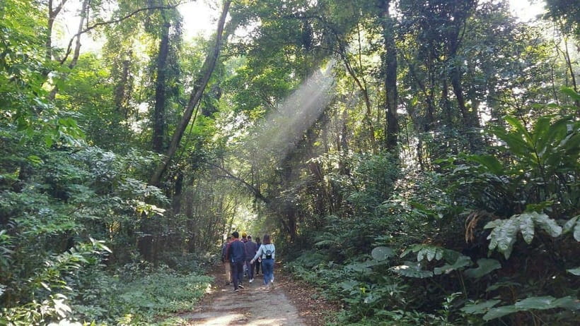 Cat Ba: National Park Day Trip with Cycling and Kayaking - What the $66 price covers