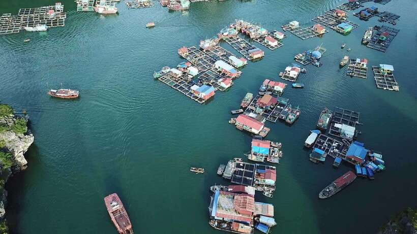 Cat Ba: Sunset on Lan Ha Bay with Sunset Party - The Sunset Party From 5:00 to 5:45 PM
