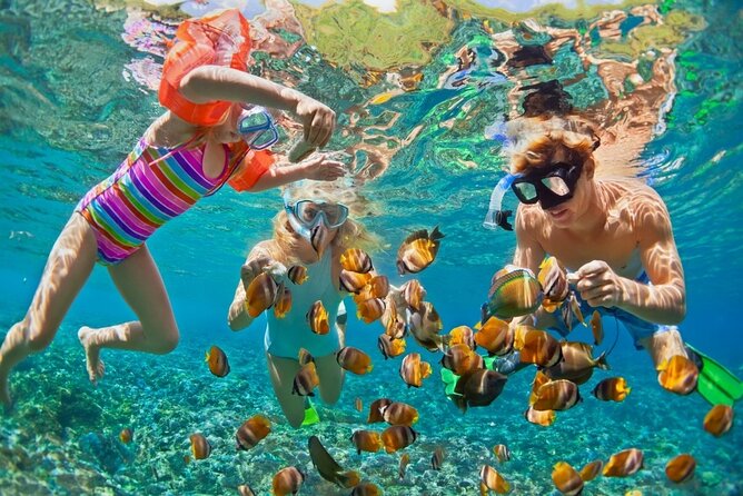 Cham Island Daily-Snorkeling(Optional:Pick up at Cua Dai Port) - Cham Island at a glance